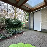 Bos En Hei Veluwe *