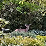 Villa Bos En Hei Veluwe Epe
