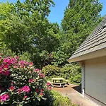 Bos En Hei Veluwe Epe