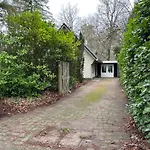Bos En Hei Veluwe