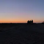Bos En Hei Veluwe