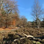 Bos En Hei Veluwe Villa