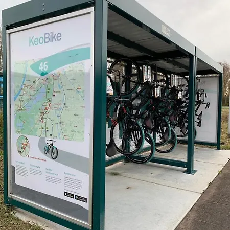 Bos En Hei Veluwe