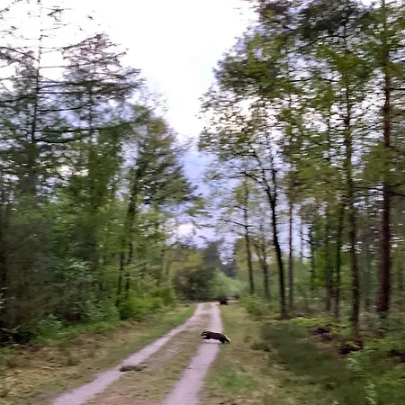 Βίλα Bos En Hei Veluwe *