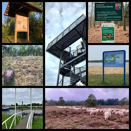Bos En Hei Veluwe *