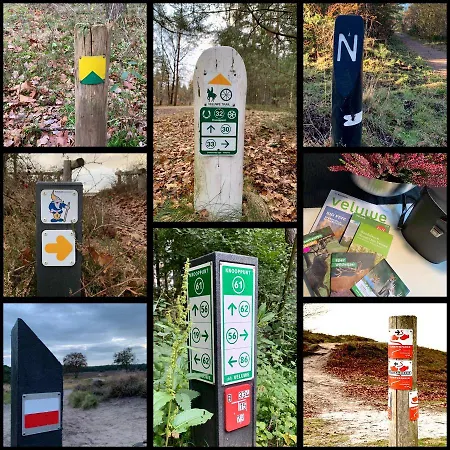 Bos En Hei Veluwe *