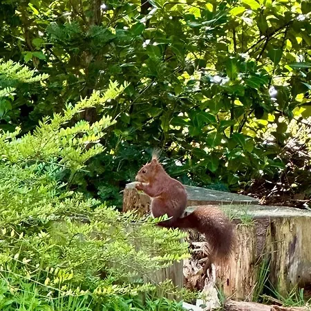 Bos En Hei Veluwe Βίλα Epe
