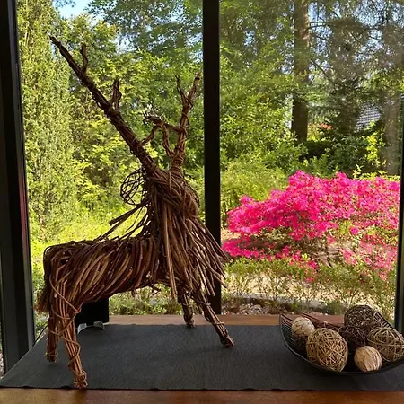 Villa Bos En Hei Veluwe Epe