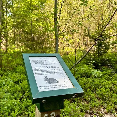 Bos En Hei Veluwe *