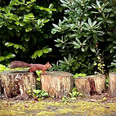 Bos En Hei Veluwe Villa *