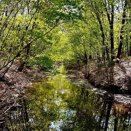 Bos En Hei Veluwe Villa