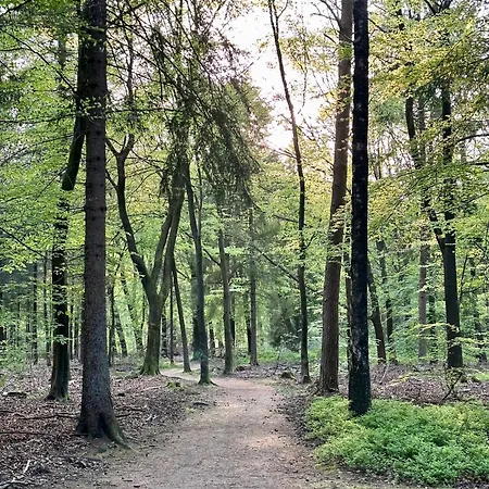 Villa Bos En Hei Veluwe *