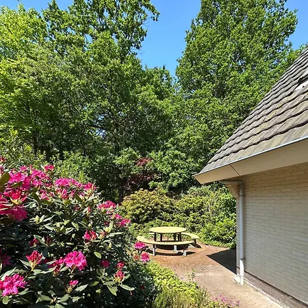 Bos En Hei Veluwe Epe