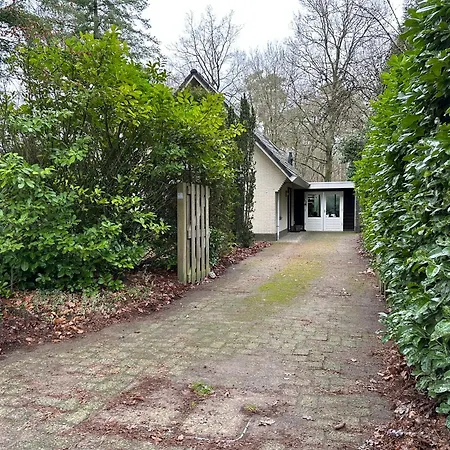 Bos En Hei Veluwe