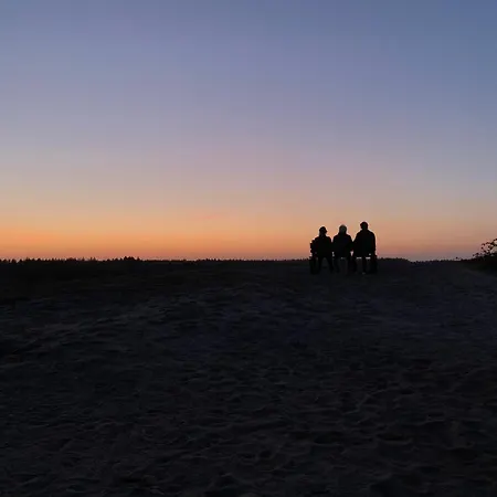 Bos En Hei Veluwe