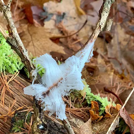 Βίλα Bos En Hei Veluwe