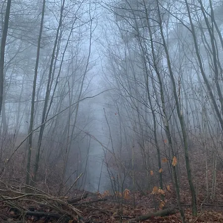 Βίλα Bos En Hei Veluwe *