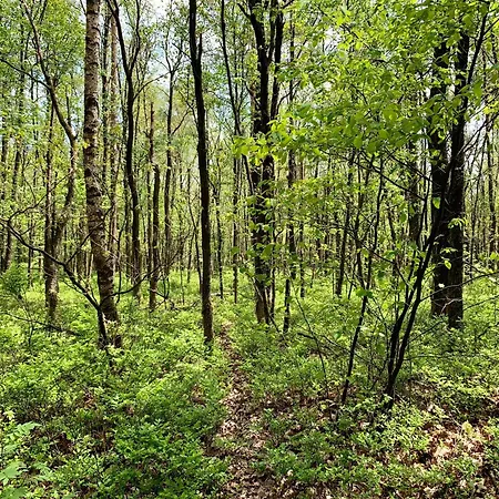 Βίλα Bos En Hei Veluwe Epe