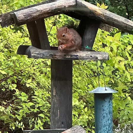 Bos En Hei Veluwe * Epe