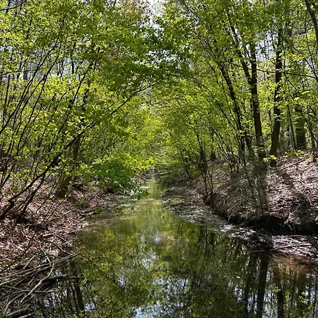 Bos En Hei Veluwe Βίλα