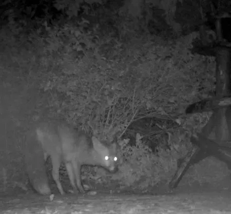 Βίλα Bos En Hei Veluwe *