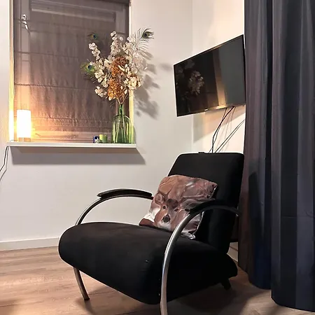 Bos En Hei Veluwe Epe