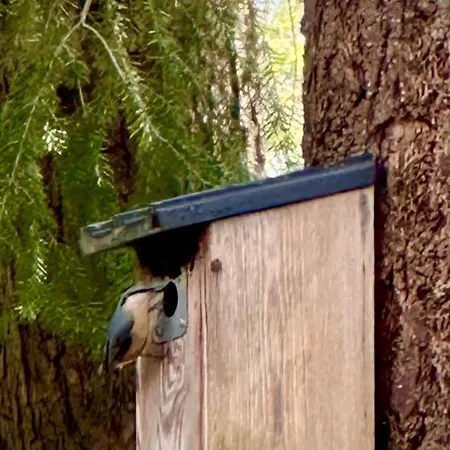 Bos En Hei Veluwe Βίλα Epe