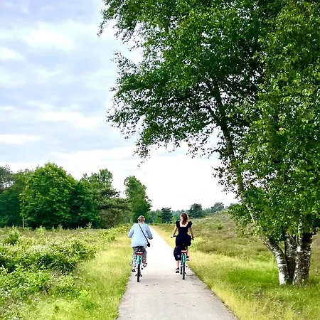 Bos En Hei Veluwe * Epe