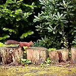 Bos En Hei Veluwe Villa *