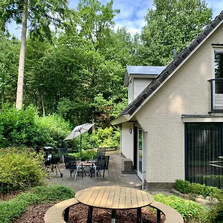 Bos En Hei Veluwe *