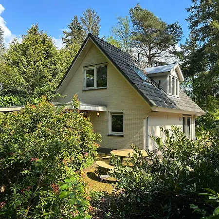 Bos En Hei Veluwe * エーペ