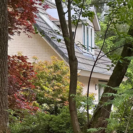 Bos En Hei Veluwe 别墅