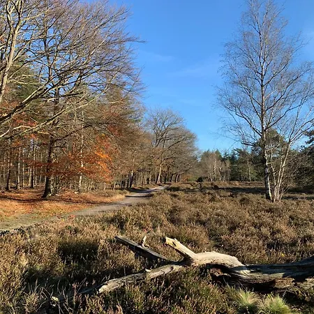 Bos En Hei Veluwe 别墅
