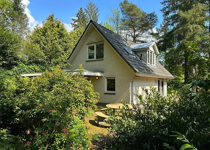 Bos En Hei Veluwe * エーペ