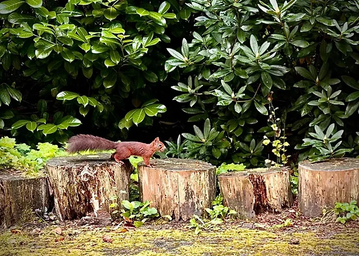 Bos En Hei Veluwe ヴィラ *